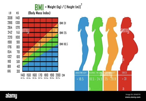 What is the Average Body Fat percentage for 14, 15, 16, 17 and 18 years ...
